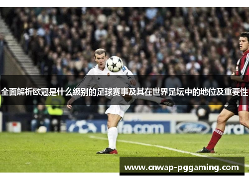 全面解析欧冠是什么级别的足球赛事及其在世界足坛中的地位及重要性