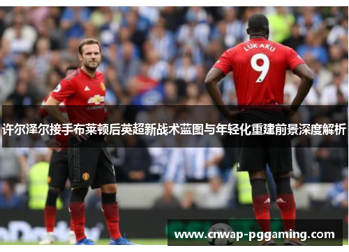 许尔泽尔接手布莱顿后英超新战术蓝图与年轻化重建前景深度解析